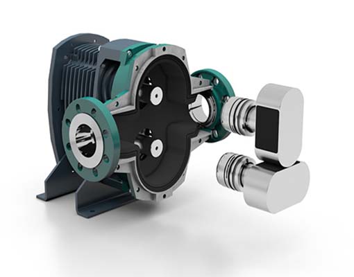 Rotary Lobe Pump