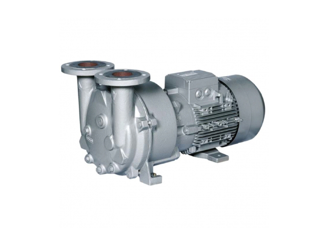 Liquid Ring Pumps
